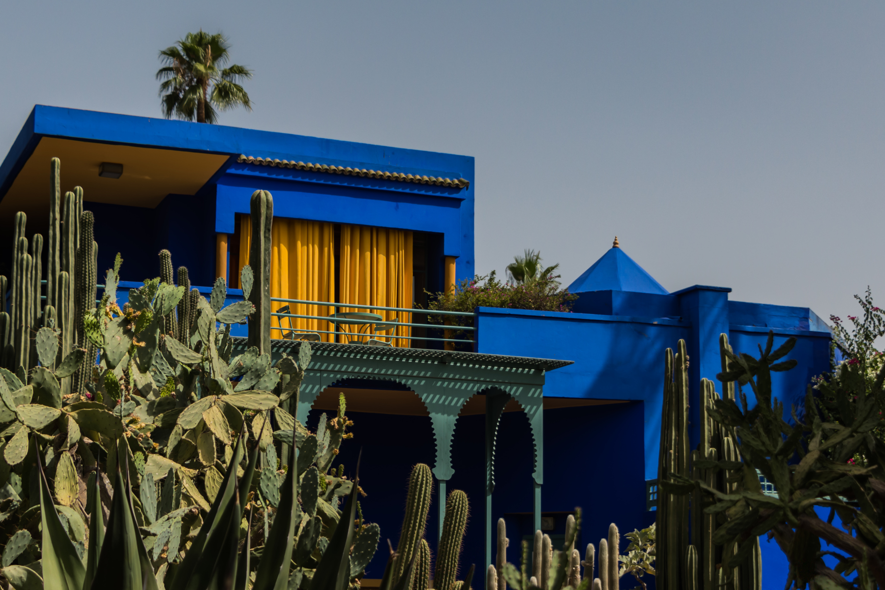 jardin majorelle , palm marrakech lieu à visiter