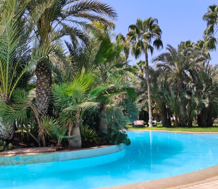 WhatsApp Image 2025-08-24 at 23.47.47